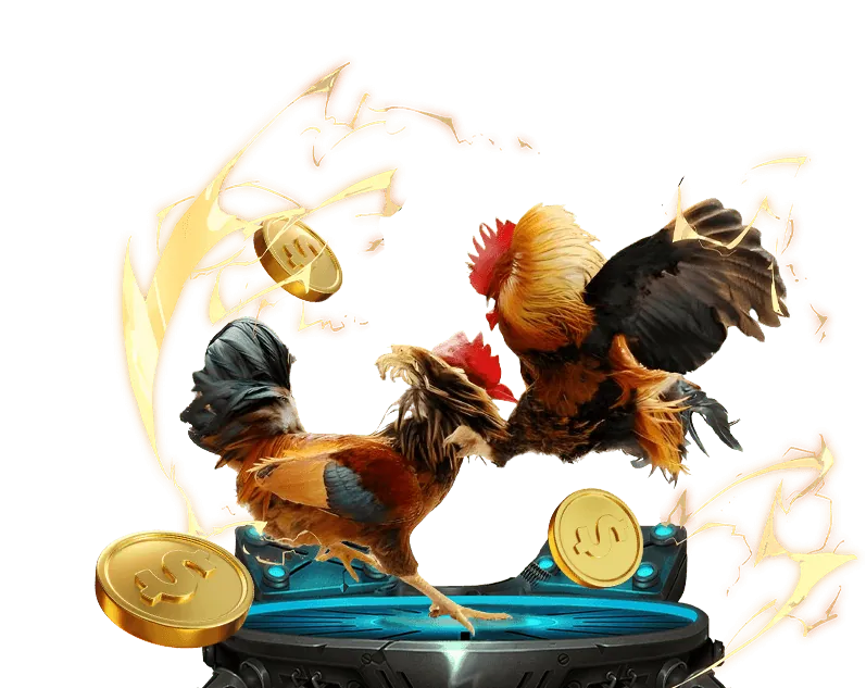 Hình minh họa các loại Cookie khác nhau được sử dụng bởi 6ff3 chính thức